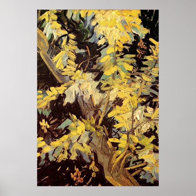 Poster Branches de l'acacia en floraison Vincent van Gogh (Devant)