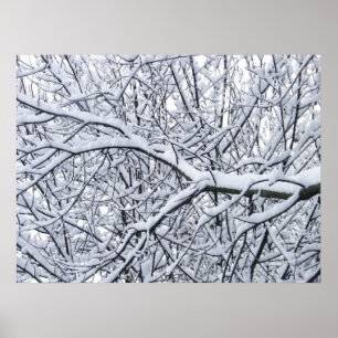 Poster Branches de neige