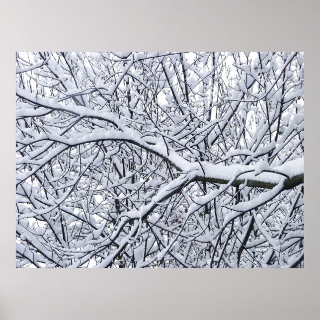 Poster Branches de neige (Devant)