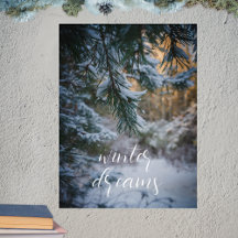 Branches de pin couvertes de neige