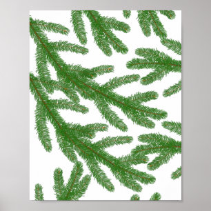 Poster Branches de sapin vert