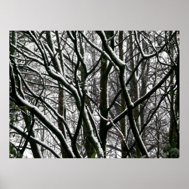 Poster Branches d'hiver (Devant)