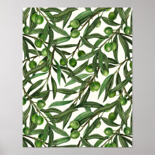 Poster Branches d'olive sur blanc