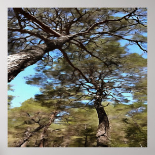 Poster Branches En Tangée Des Pins Perspective Bizarre