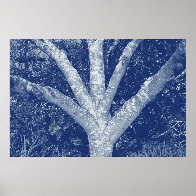 Poster Branches fourrées - Effet Cyanotype (Devant)