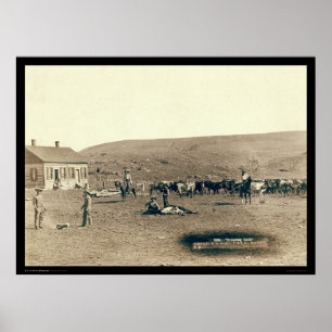 Poster Branding Cattle SD 1891