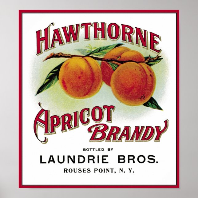 Poster Brandy Hawthorne Apricot (Devant)