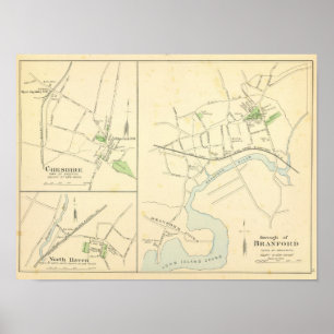 Poster Branford, Cheshire, asile de N