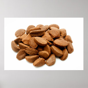 Poster Brazil nut seeds