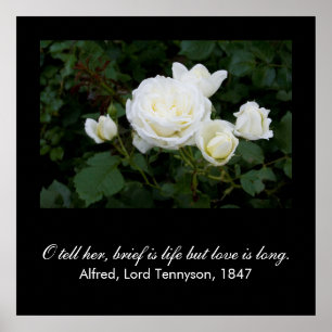 Poster Bref, c'est la vie, mais l'amour est long (citatio