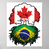 Brésil Brésil Brésil Canada drapeau des racines de