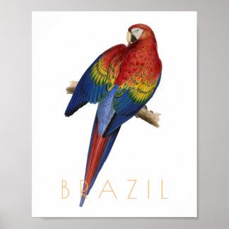 Poster Brésil vintage voyage Macaw oiseau mi-siècle