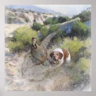 Poster Bretagne Espagnol chasse perdrix chukar, Art