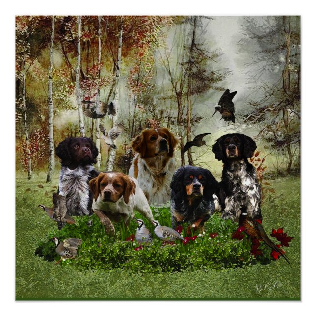 Poster Bretagne Espagnols, chasse aux oiseaux (Devant)