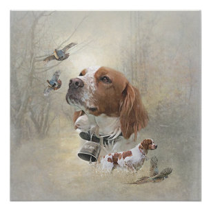 Poster Bretagne française, Art de chasse aux oiseaux
