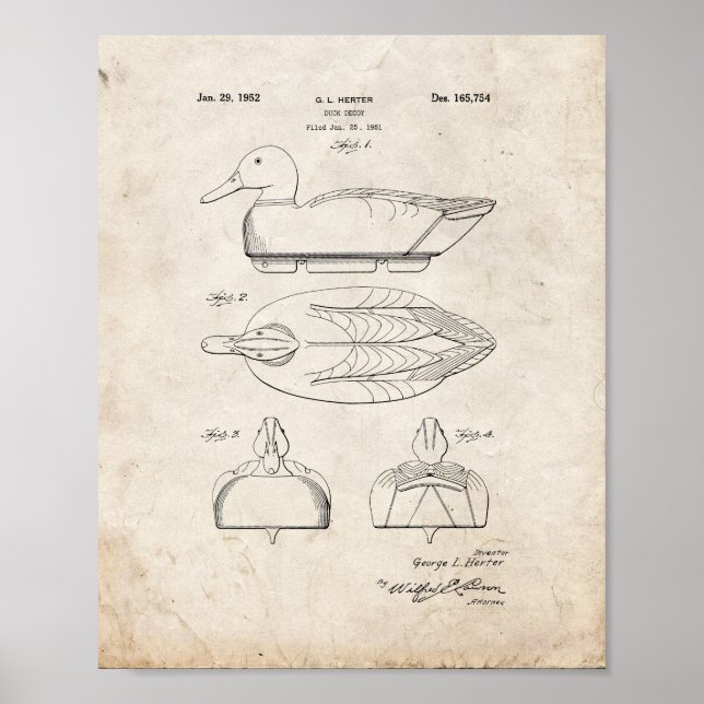 Poster Brevet Duck Decoy - Vieux look (Devant)