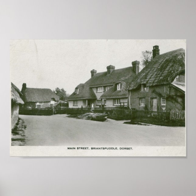 Poster Briantspuddle, Dorset carte postale vintage (Devant)