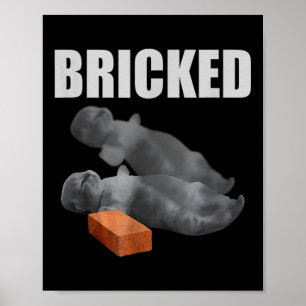 Poster Brick de chats drôle Knoking out Meme Silly Cats S