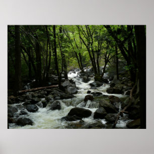Poster Bridalveil Creek dans le parc national de Yosemite