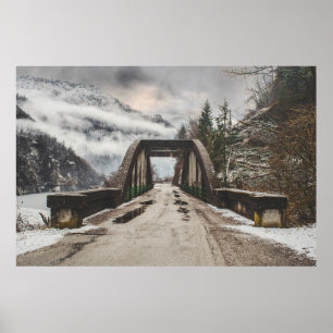 POSTER BRIDE ARCHE EN BÉTON GRIS PRÈS DE L'ARBRE SANS FEU