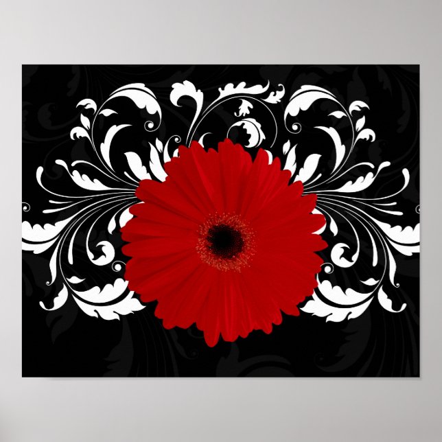 Poster Bright Red Gerbera Daisy on Black (Devant)