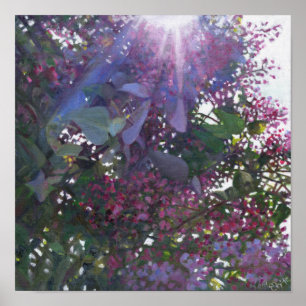 Poster Brillant 2014