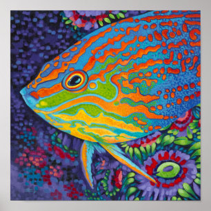 Poster Brillant poisson tropical I