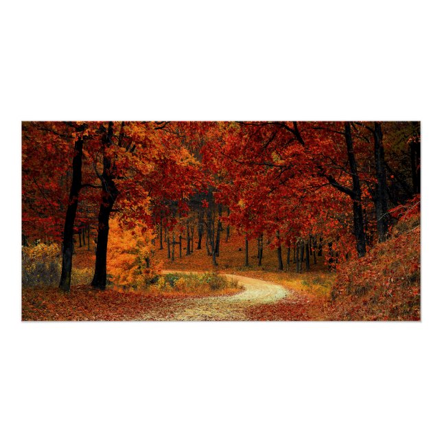 Poster brillante bosque otoñal (Devant)