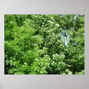 Poster Brise d'été