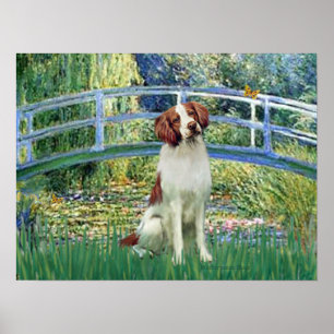 Poster Brittany Spaniel 3 - Pont Lily Pond