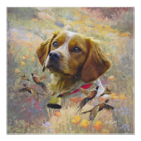 Brittany Spaniel Art, Chasse de faisan