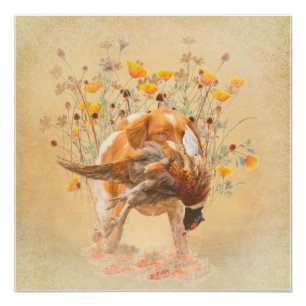 Poster Brittany Spaniel, Chasse Pheasant Coffee Mug T-Sh