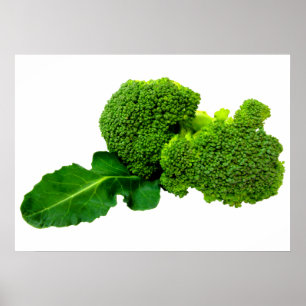 Poster Broccoli 28" x 20", papier d'affiche de valeur (Ma