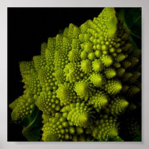 Poster Brocoli