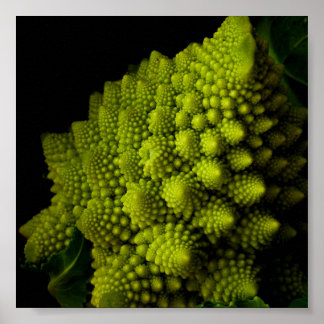 Poster Brocoli