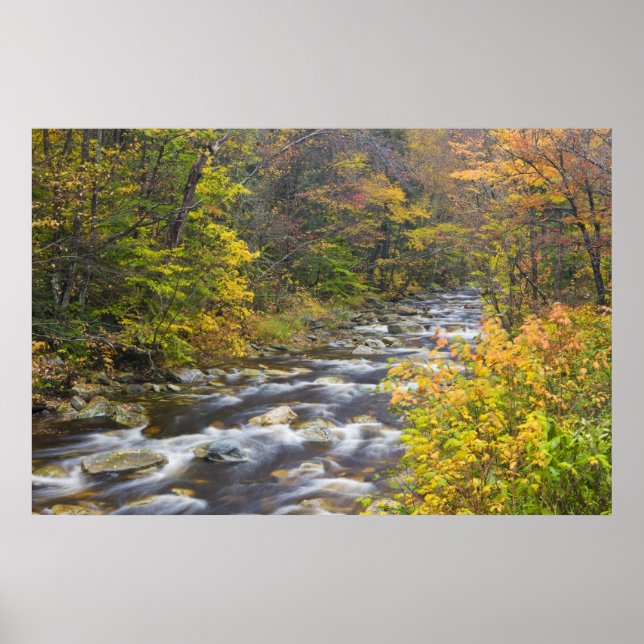 Poster Brook à l'automne dans Vermont's Green 2 (Devant)