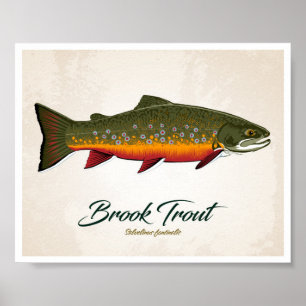 Poster Brook Trout