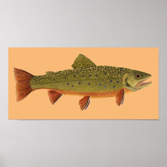 Poster Brook Trout (Devant)