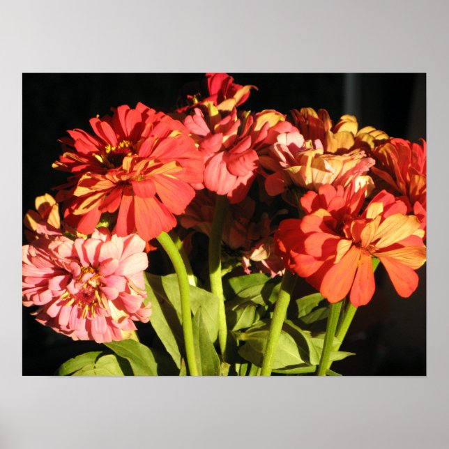 Poster Brooklyn Bouquet (Devant)