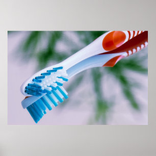 Poster Brosse à dents
