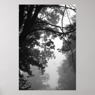 Poster brouillard