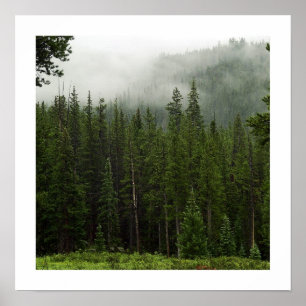 Poster Brouillard