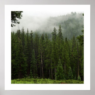 Poster brouillard