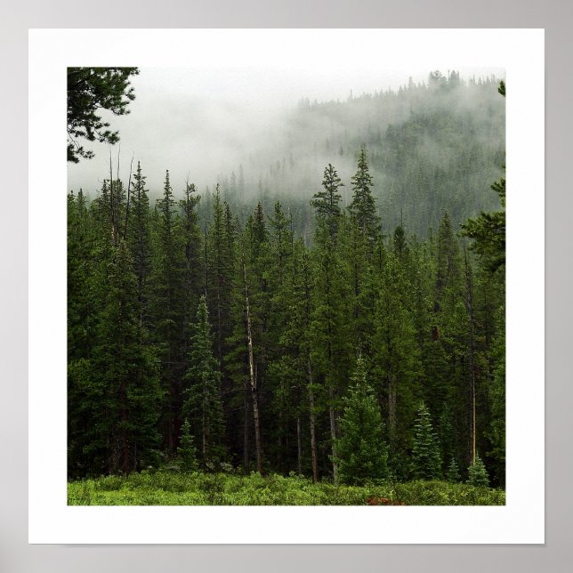 Poster brouillard (Devant)