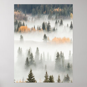 Poster Brouillard à l'aube sur une forêt de montagne