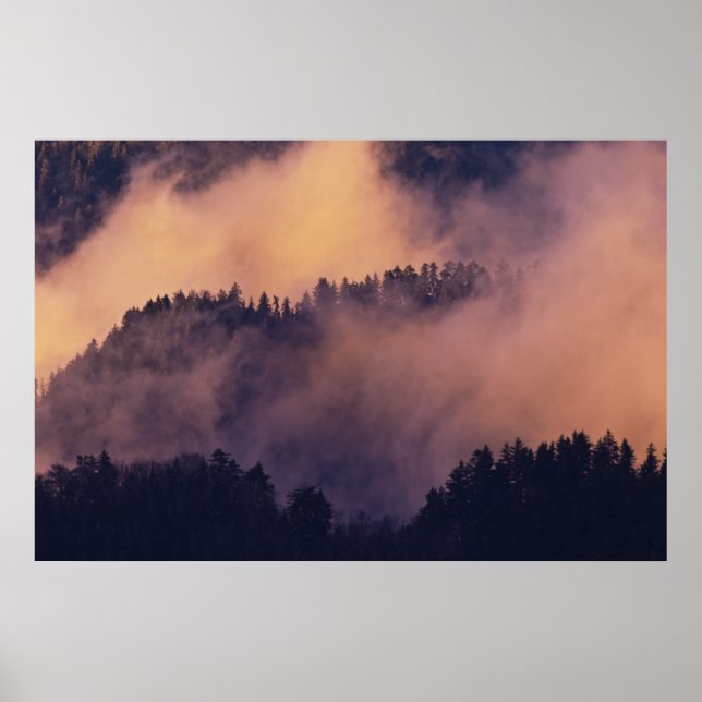 Poster Brouillard d'hiver dans la vallée au coucher du so (Devant)