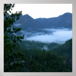 Poster Brouillard matinal....