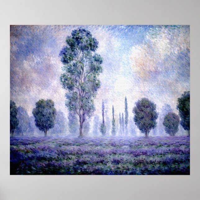 Poster Brouillard matinal (Devant)