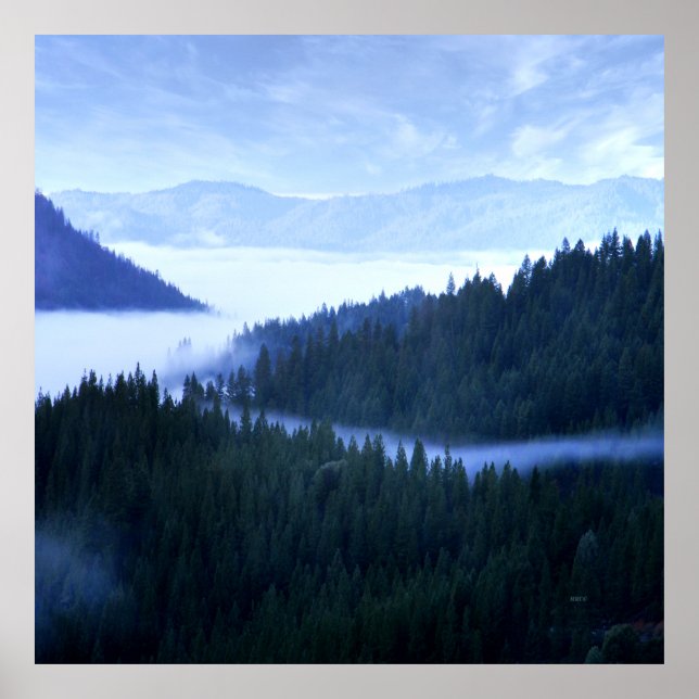 Poster Brouillard matinal..... (Devant)