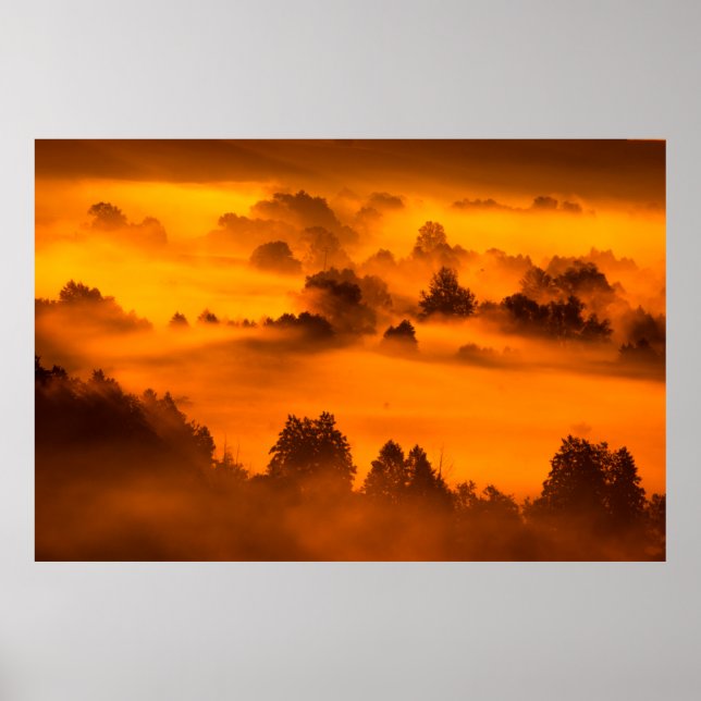 Poster Brouillard matinal au-dessus de la rivière inondat (Devant)